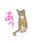 ぴちいの猫スタわいわい2（個別スタンプ：11）