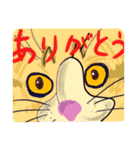 ぴちいの猫スタわいわい2（個別スタンプ：14）