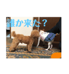 可愛いペレレ（個別スタンプ：14）