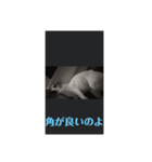 可愛いペレレ（個別スタンプ：20）