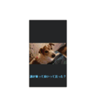 可愛いペレレ（個別スタンプ：29）