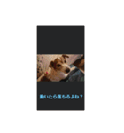 可愛いペレレ（個別スタンプ：30）