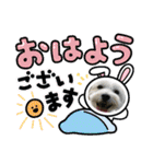 Westie ＆ Yorkie 3（個別スタンプ：1）