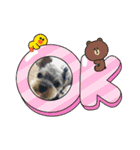 Westie ＆ Yorkie 3（個別スタンプ：10）
