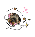 Westie ＆ Yorkie 3（個別スタンプ：18）