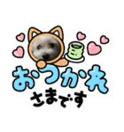 Westie ＆ Yorkie 3（個別スタンプ：21）