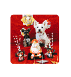 Westie ＆ Yorkie 3（個別スタンプ：40）