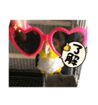 しろはらーさん4（個別スタンプ：20）