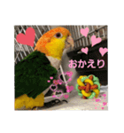 しろはらーさん4（個別スタンプ：27）