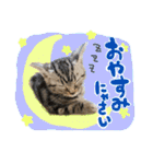 うしお,とら,たび（個別スタンプ：2）