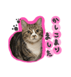うしお,とら,たび（個別スタンプ：6）
