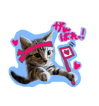 うしお,とら,たび（個別スタンプ：8）