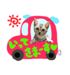 うしお,とら,たび（個別スタンプ：10）