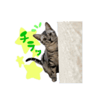 うしお,とら,たび（個別スタンプ：13）