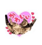うしお,とら,たび（個別スタンプ：14）