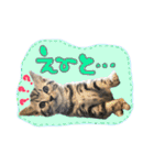 うしお,とら,たび（個別スタンプ：15）