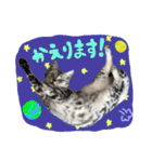 うしお,とら,たび（個別スタンプ：16）