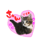 うしお,とら,たび（個別スタンプ：17）