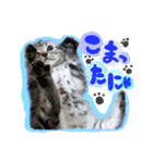 うしお,とら,たび（個別スタンプ：18）
