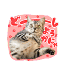 うしお,とら,たび（個別スタンプ：19）