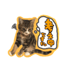 うしお,とら,たび（個別スタンプ：22）