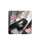 TAMA x KIKI ③（個別スタンプ：1）