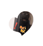 TAMA x KIKI ③（個別スタンプ：4）