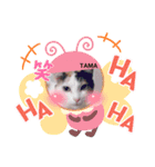 TAMA x KIKI ③（個別スタンプ：8）