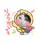 TAMA x KIKI ③（個別スタンプ：9）