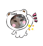 TAMA x KIKI ③（個別スタンプ：10）