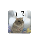 とろちゃん④（個別スタンプ：7）