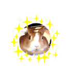 うさぎの若5（個別スタンプ：21）