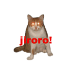 ねこのじろうくん その2（個別スタンプ：11）