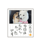 りろくんスタンプ❤︎（個別スタンプ：2）