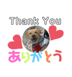 りろくんスタンプ❤︎（個別スタンプ：7）