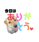 りろくんスタンプ❤︎（個別スタンプ：27）