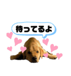 りろくんスタンプ❤︎（個別スタンプ：32）