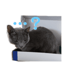 深夜に作ったネコのスタンプ（個別スタンプ：7）