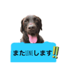 チョコ＆あおい（個別スタンプ：3）