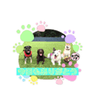 チョコ＆あおい（個別スタンプ：5）