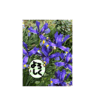 パクのPURPLE FLOWER（個別スタンプ：2）