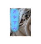 ユニーなスタンプ（個別スタンプ：2）