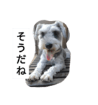 ユニーなスタンプ（個別スタンプ：6）