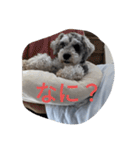 ユニーなスタンプ（個別スタンプ：7）