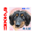 幸せに向かってGO GO〜❤️（個別スタンプ：4）