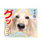 幸せに向かってGO GO〜❤️（個別スタンプ：5）