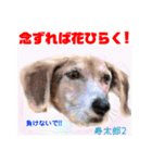 幸せに向かってGO GO〜❤️（個別スタンプ：7）