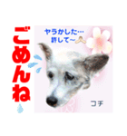 幸せに向かってGO GO〜❤️（個別スタンプ：9）