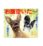 幸せに向かってGO GO〜❤️（個別スタンプ：12）