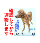 幸せに向かってGO GO〜❤️（個別スタンプ：13）